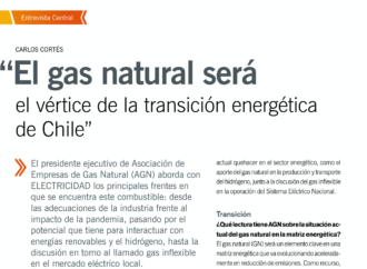 Carlos Cortés: “El gas natural será el vértice de la transición energética de Chile”